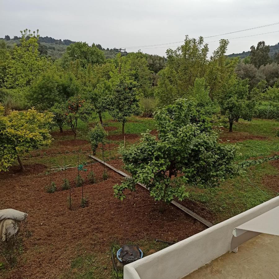 Εξοχική Κατοικία - Cottage Τίνα Liri Экстерьер фото